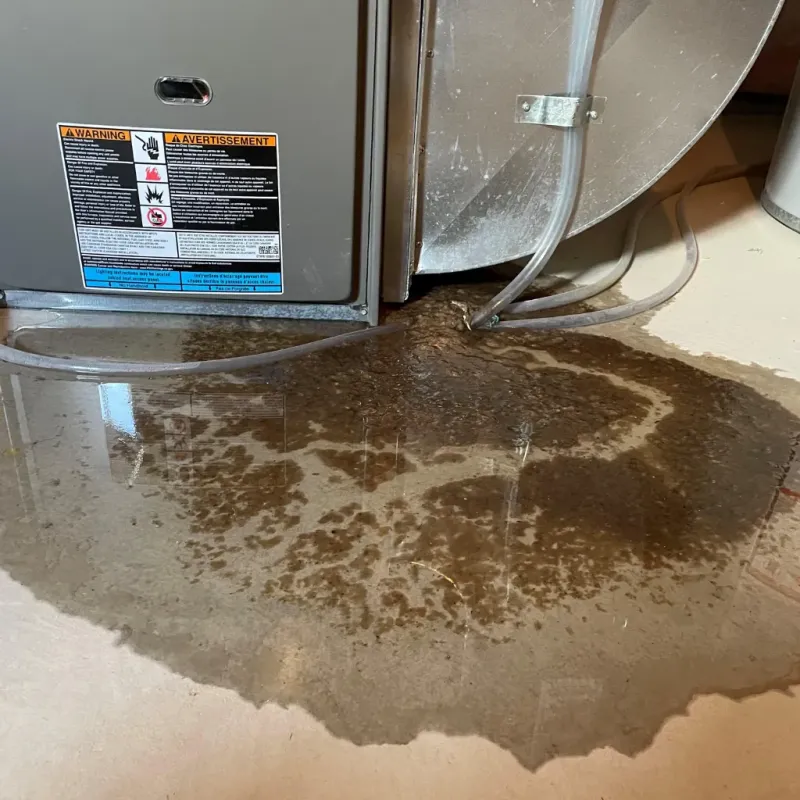 Appliance Leak Cleanup in Coats, NC